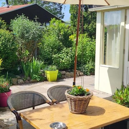Willa Zonnig Zuid Dirkshorn Zewnętrze zdjęcie