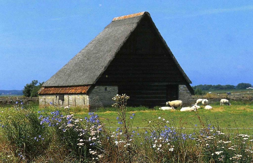 Willa Zonnig Zuid Dirkshorn Pokój zdjęcie
